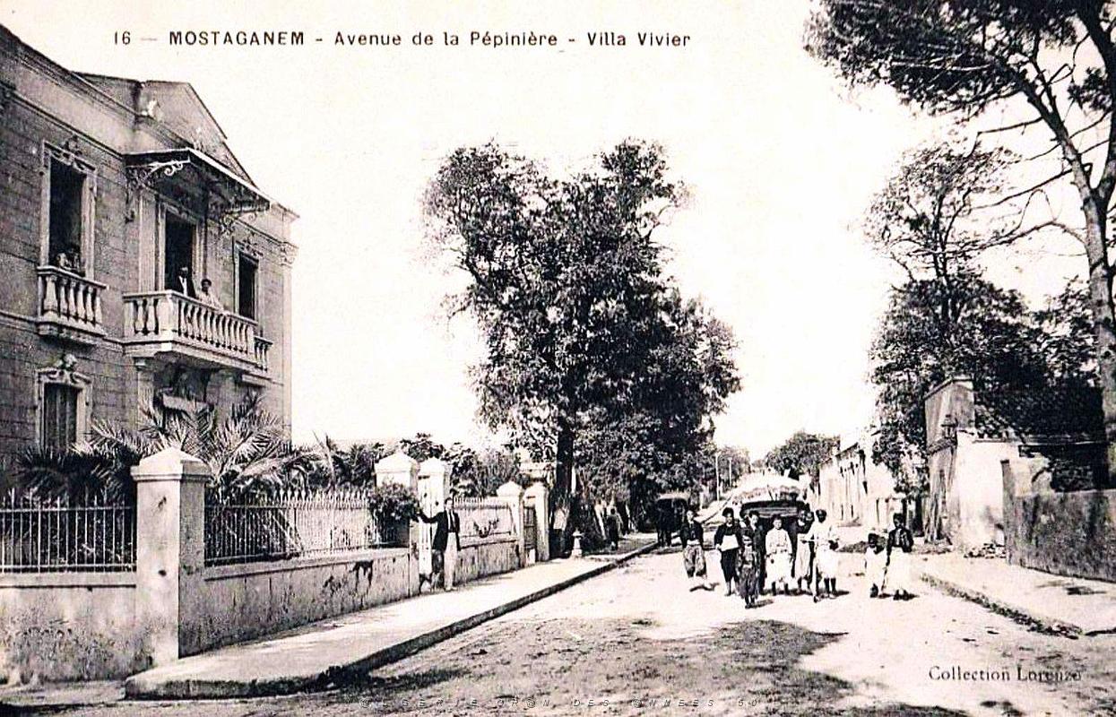 Mostaganem - Avenue de la Pepiniere.jpg